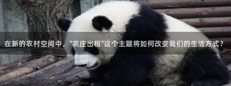 FH至尊登录不了