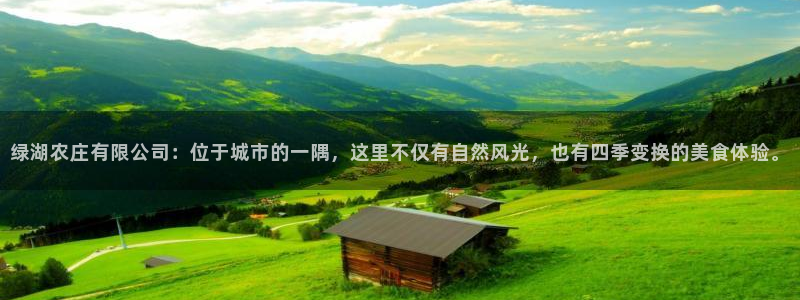fh至尊提现不了