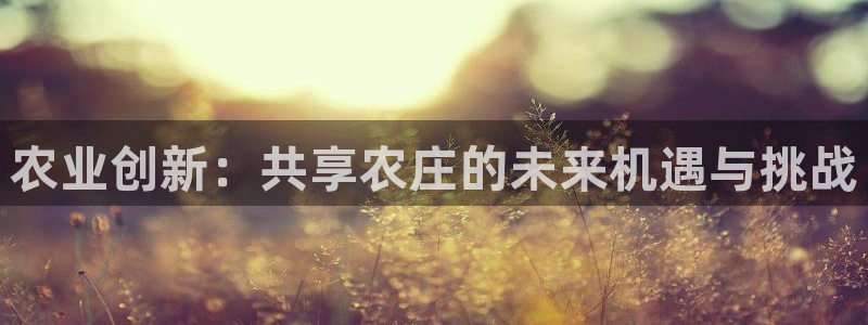 fh至尊闪退
