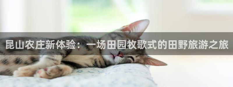 fh至尊