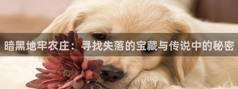 fh至尊凤凰是赌博