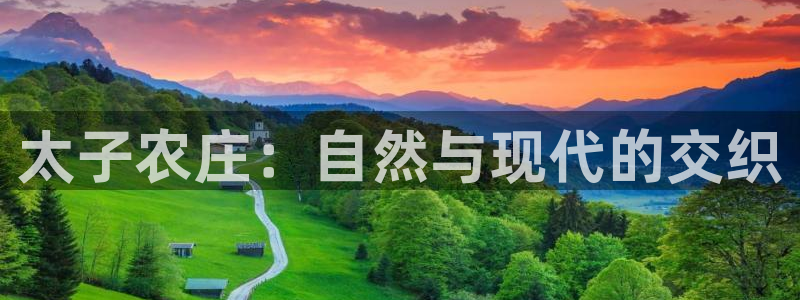 fh至尊什么意思