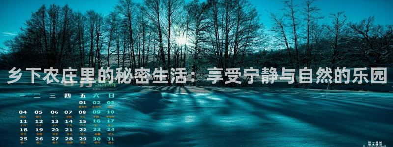 FH至尊怎么样