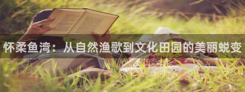 fh至尊凤凰代理