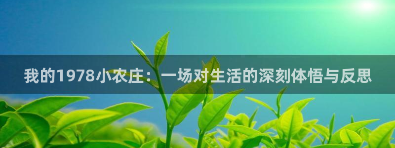 fh至尊游戏模式