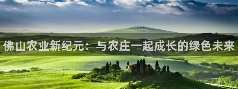 FH至尊是什么意思