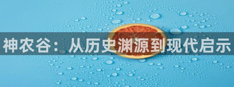FH至尊信誉怎么样