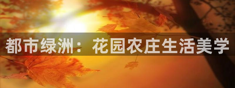 FH至尊信誉怎么样