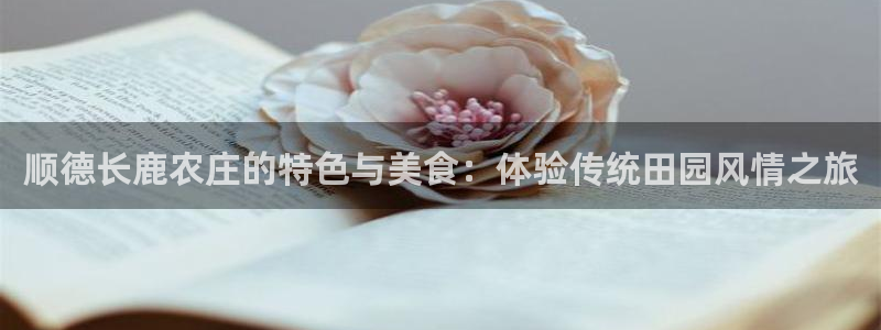 FH至尊隶属哪家公司