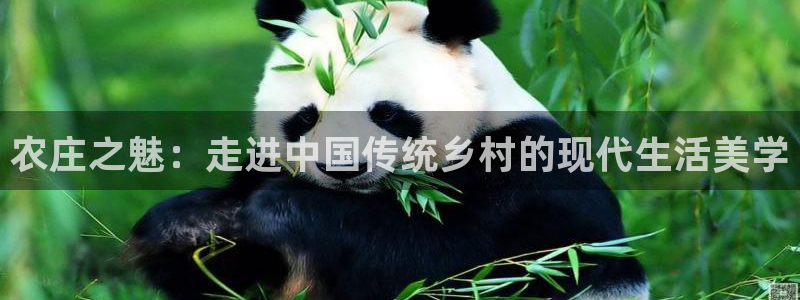 FH至尊是什么意思