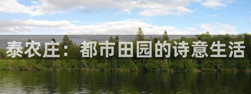 fh至尊平台简介