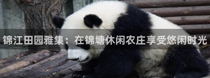 FH至尊娱乐平台