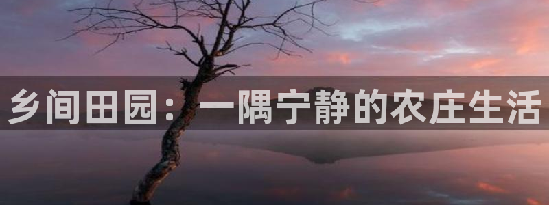 凤凰FH至尊