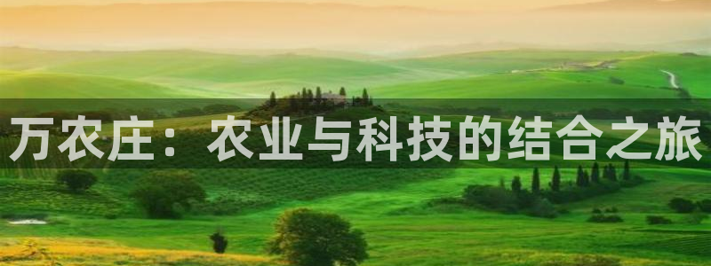 FH-FH至尊版的功能