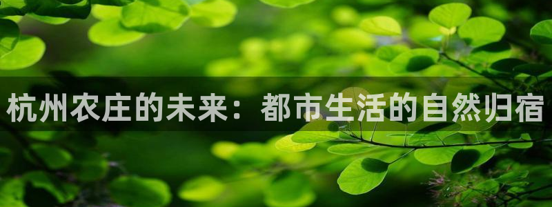 fh至尊邀请码