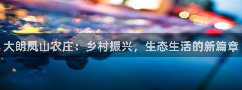 FH至尊公安