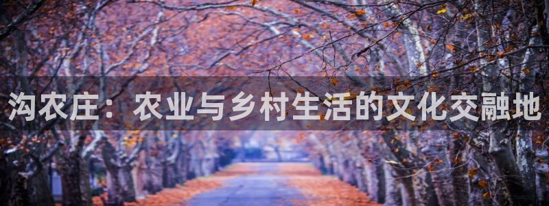凤凰至尊fh凤凰版0a