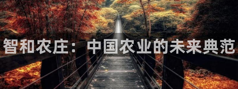 fh至尊20
