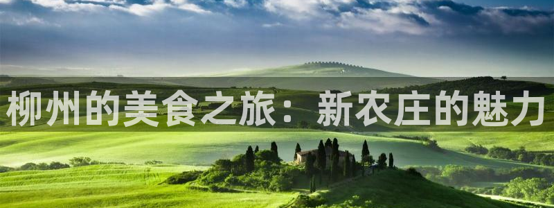 FH至尊登录不了