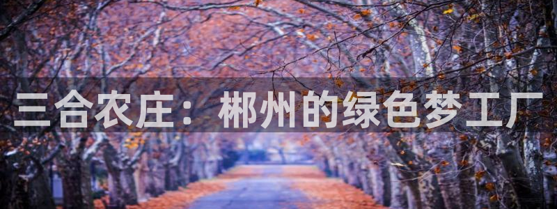 FH至尊版