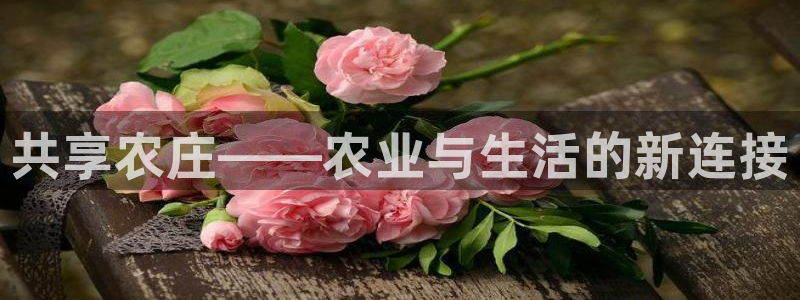 fh至尊游戏安全平台