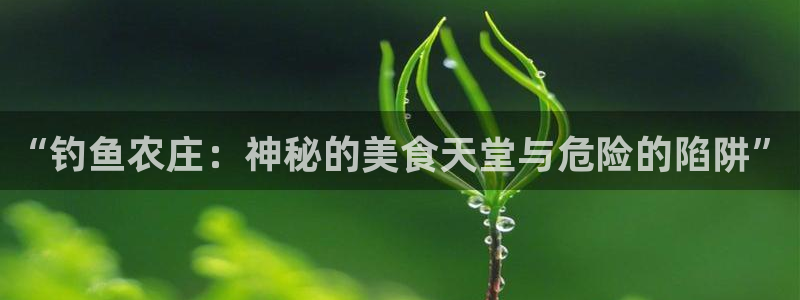 fh至尊凤凰是黑网
