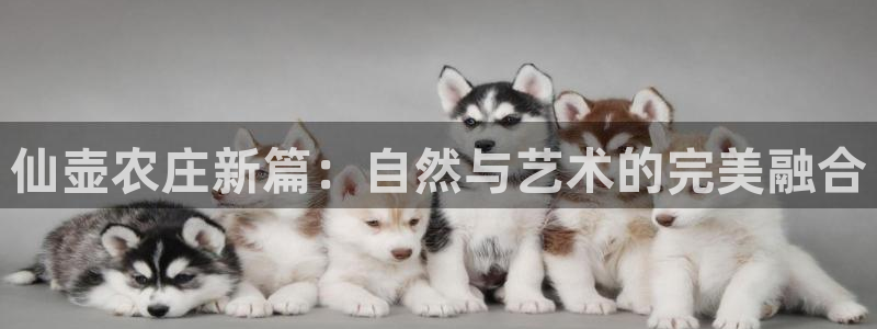 fh至尊平台黑钱