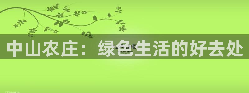 FH至尊是什么意思