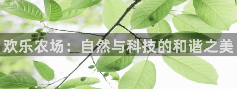 fh至尊安全吗