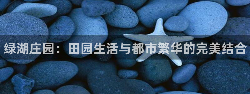 FH至尊是什么意思