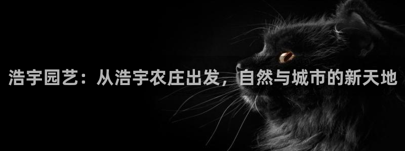 FH至尊信誉怎么样
