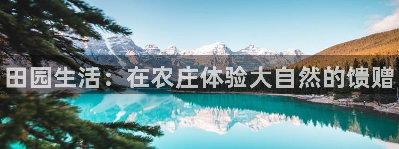 fh至尊网页登入