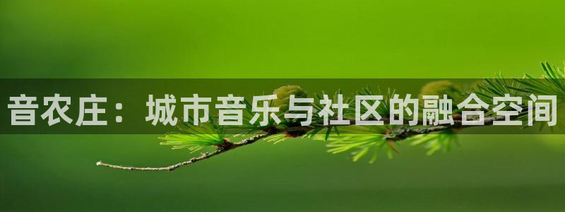fh至尊凤凰官方旗舰店