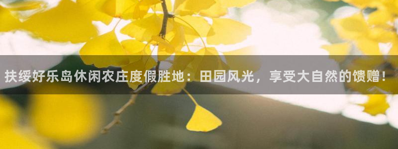 fh至尊怎么登录