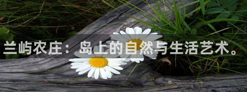 FH至尊下载