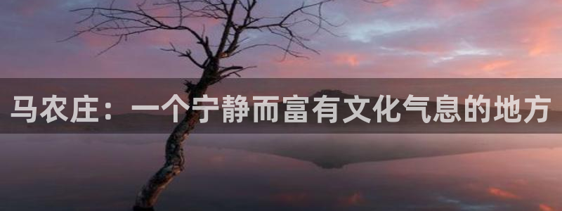 FH至尊平台
