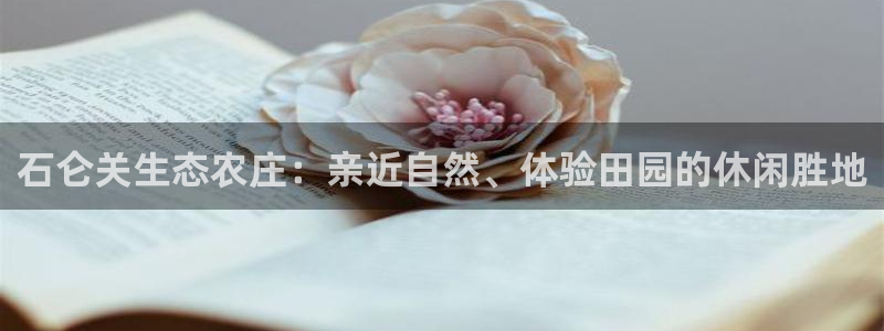 FH至尊出问题了