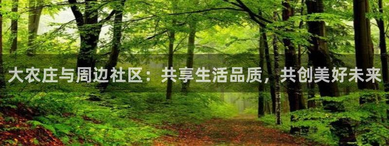 凤凰FH至尊