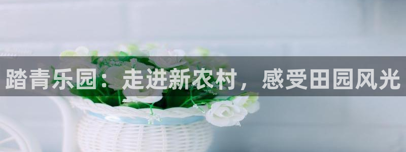 FH至尊联盟