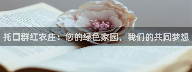 fh至尊正规吗