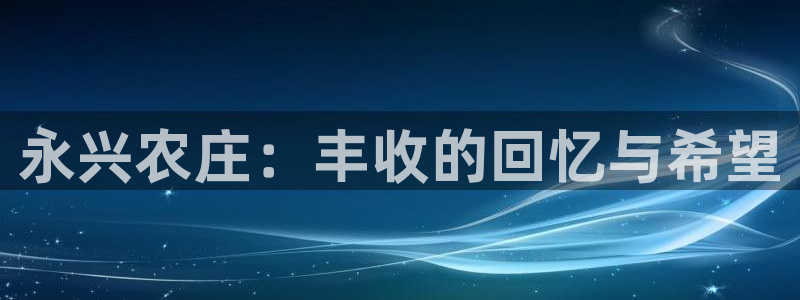 FH至尊VIP