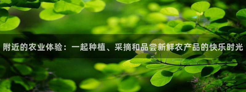 fh至尊20