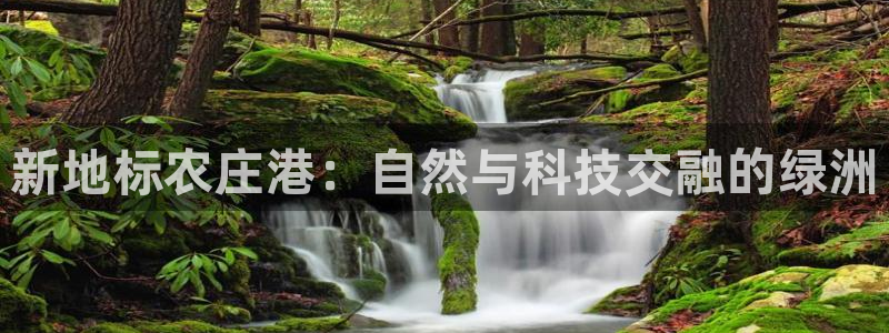 FH至尊官方入口