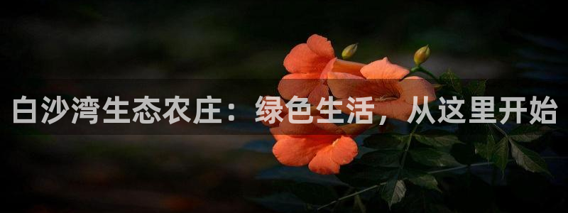 FH至尊平台