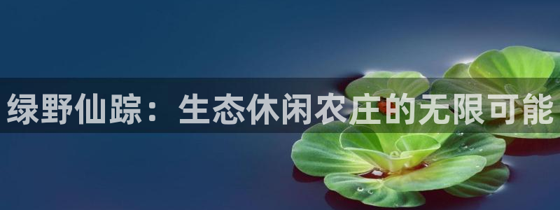 fh至尊平