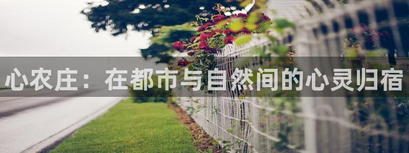 fh至尊是什么平台