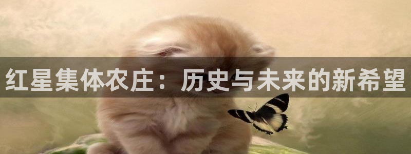 凤凰娱乐FH至尊地址