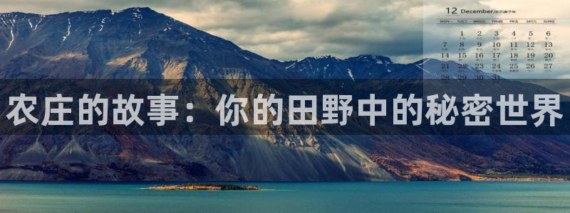 FH至尊是什么