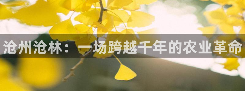 fh至尊凤凰是赌博