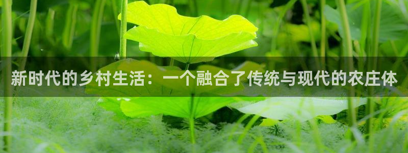 fh至尊平台安全吗